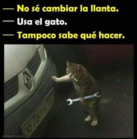 Cambiar llantas