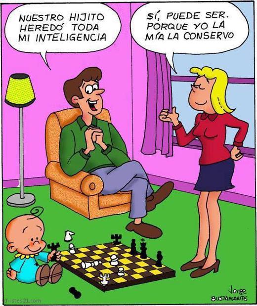 Inteligencia 