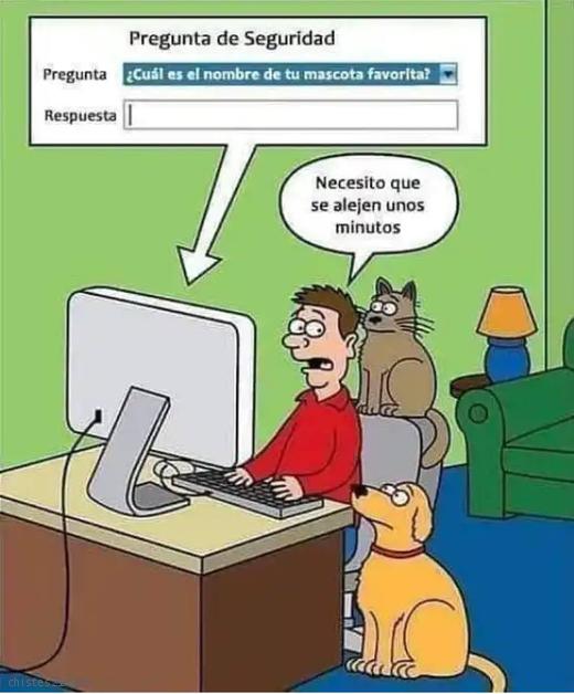 Pregunta de seguridad