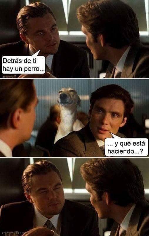 Hay un perro