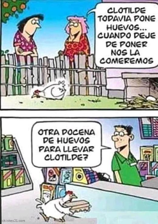 Pobre gallina