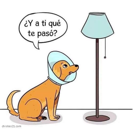 Diálogo de un perro