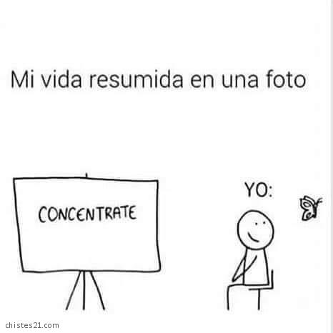 Concentración