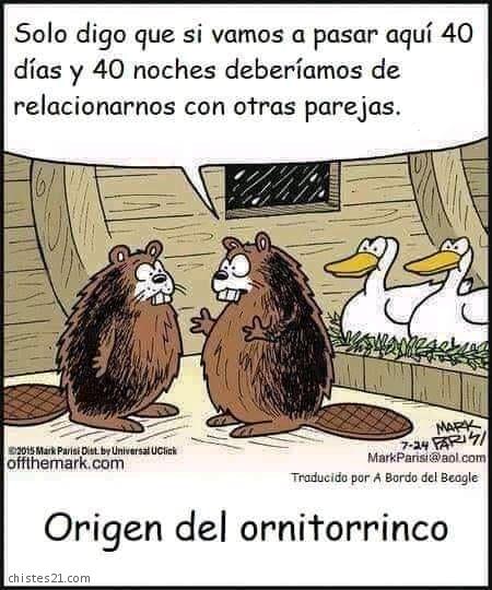 Origen del ornitorrinco