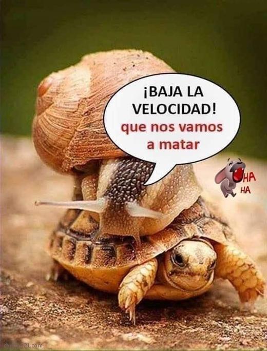Exceso de velocidad