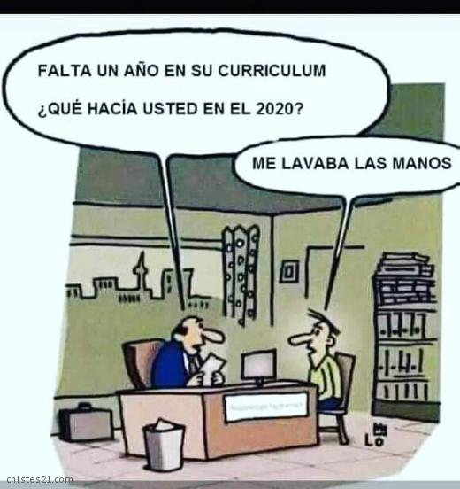 Curriculum Vitae