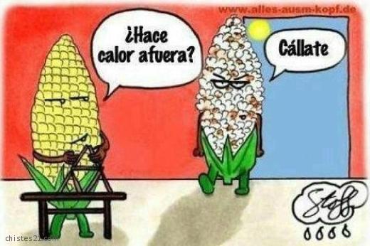 Ola de calor