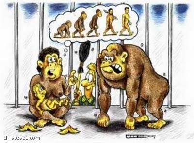 Evolución