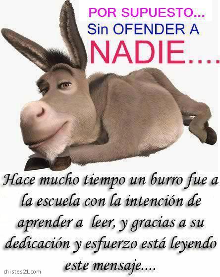 Burro