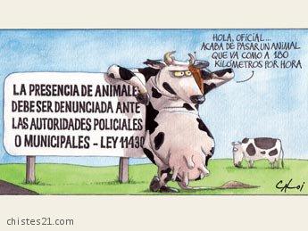 Animales Sueltos