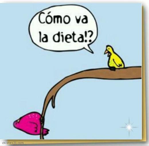 Dieta